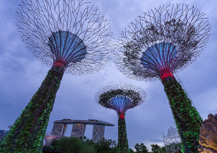 Things to Do in Singapore This Spring